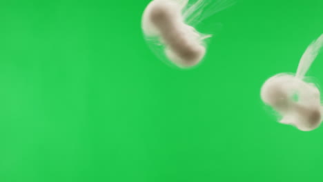abstract smoke and vapor on green screen