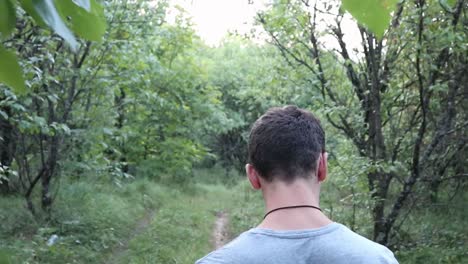 young man walking in the forest, summer time