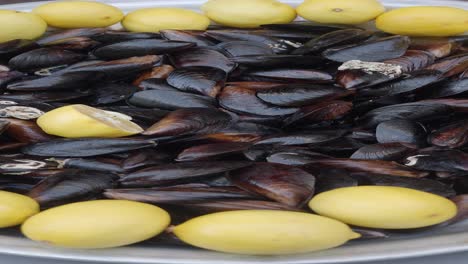 mussels with lemons