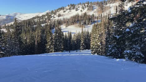 Handheld-POV-shot-skiing-down-a-steep-path-in-a-ski-resort-in-the-Rocky-Mountains-in-Utah-surrounded-by-snow-covered-pine-trees-during-a-warm-sunny-spring-evening