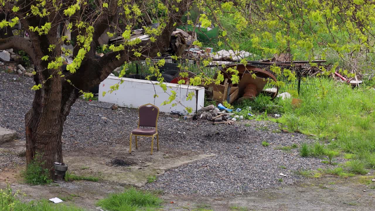 Single chair outside around firepit ashes on concrete block below tree swaying in wind