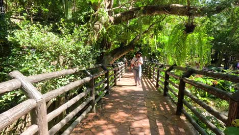 los visitantes disfrutan de un paseo panorámico por la naturaleza