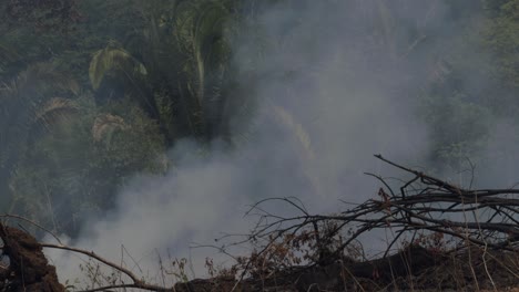 soldadura de incendios forestales en la selva amazónica causados por la sequía, la deforestación y el calentamiento global