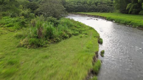 rivers, trees, animals and nature of colombia