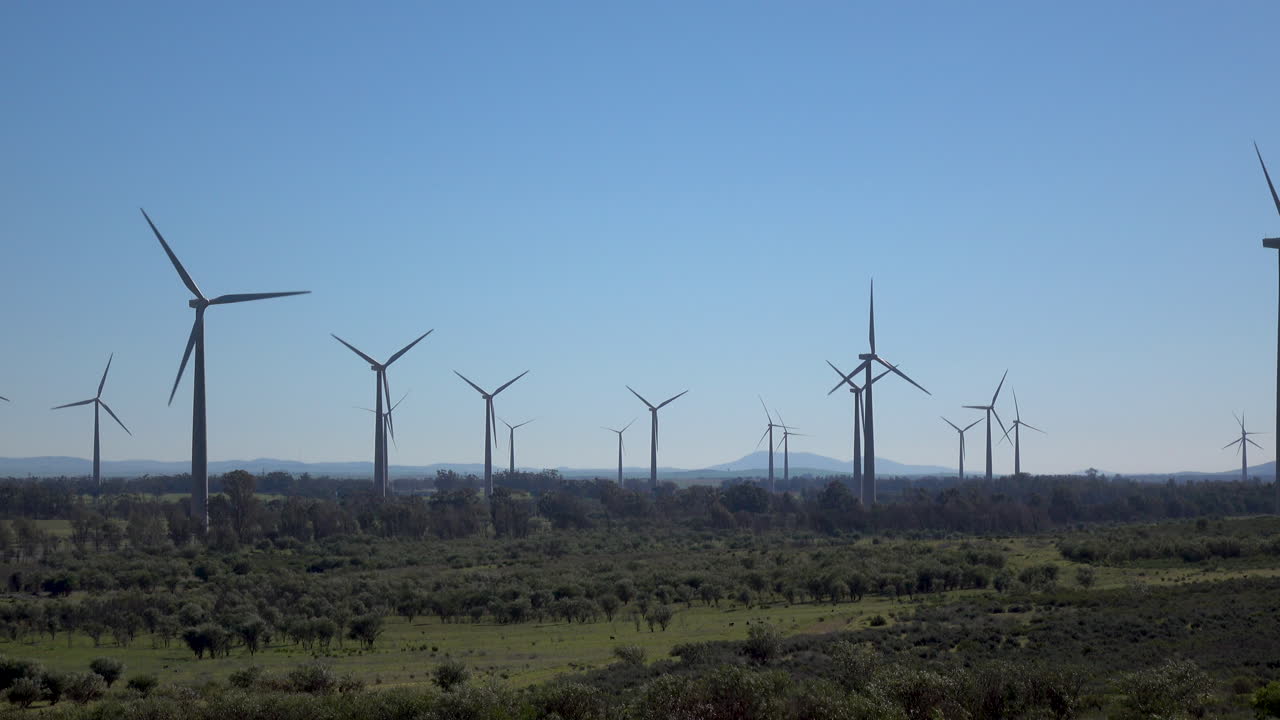 parque de aerogeneradores en la costa