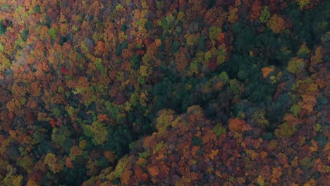 Vista-Aérea-De-Coloridos-árboles-De-Otoño-En-Zao-Onsen,-Ciudad-De-Yamagata,-Japón---Toma-Aérea