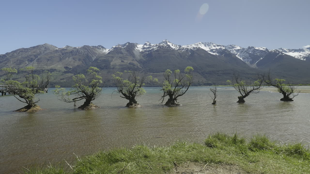화창한 날에 산맥을 배경으로 글레노키의 버드나무