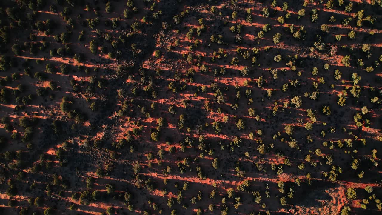 Drone Shot in Northern Arizona