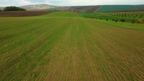 viaje a la impresionante región de moravia del sur y explore las colinas y los exuberantes huertos de la región