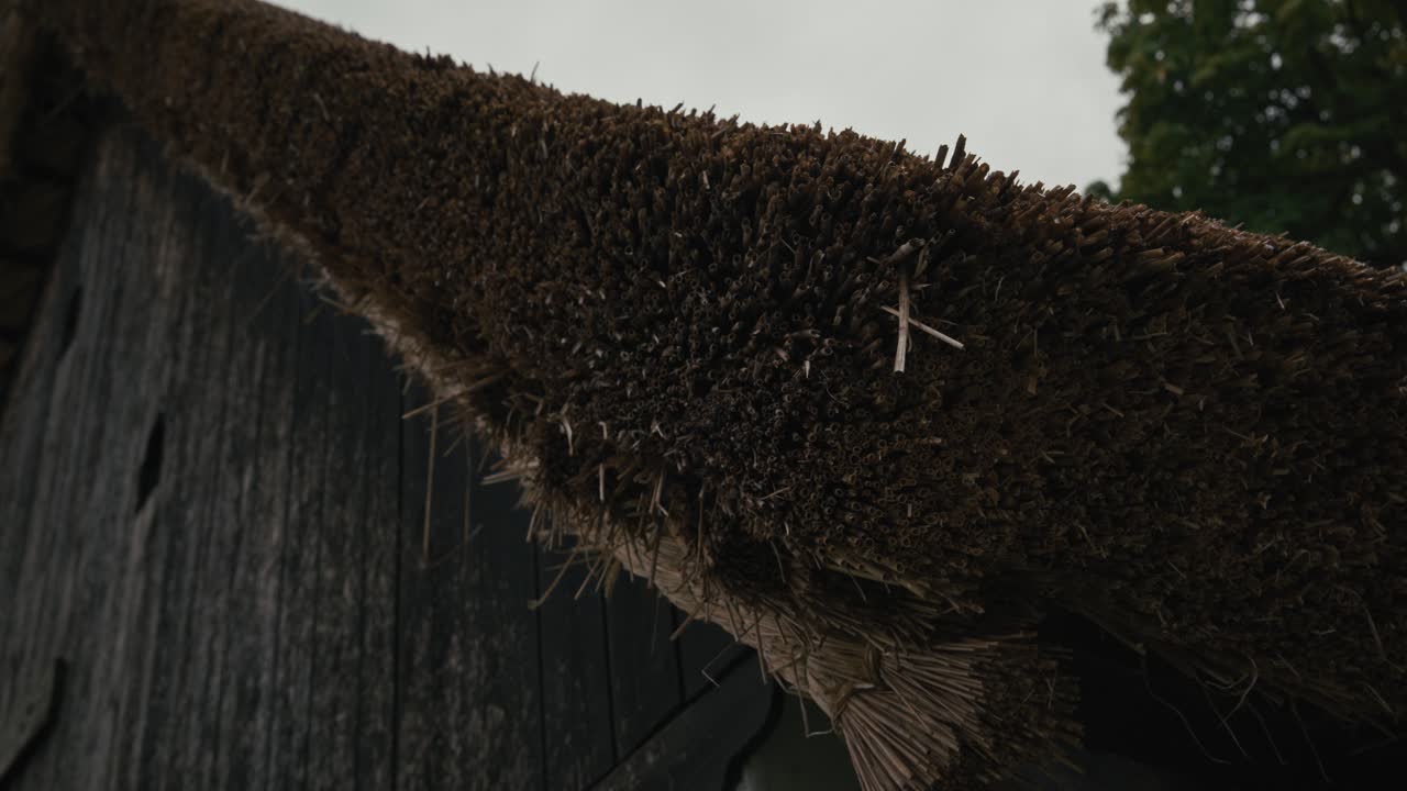 Close-up of a Thatched Roof