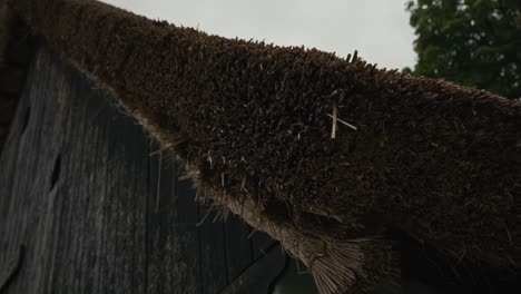 close-up of a thatched roof