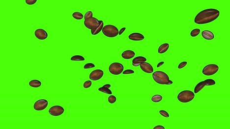 3d animation of coffee beans group on green screen chroma key