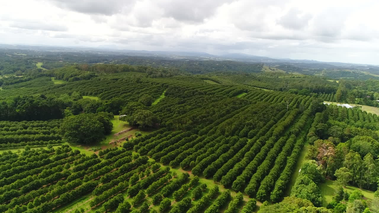 Paisajes agrícolas pintorescos cerca de Byron Bay con tomas de dron
