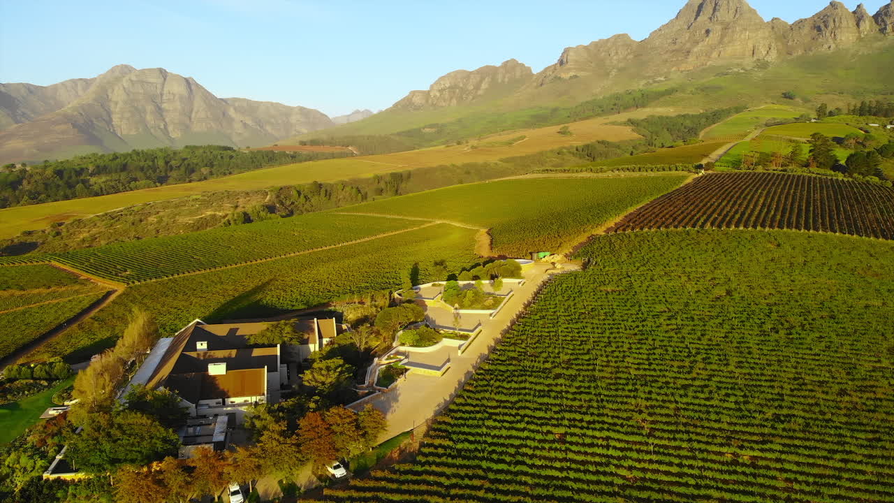 Aerial View of Vineyard and Mountains