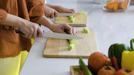 mom and boy cutting leek.