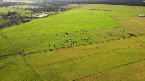 Vista-Aérea-De-Tierras-De-Cultivo-En-Sudáfrica