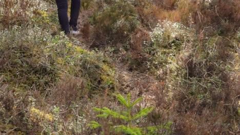 Person-Exploring-Mossy-Terrain,-Low-Angle-Below-Waist