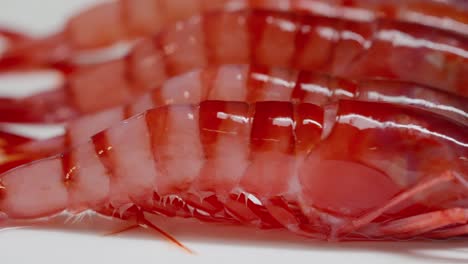 close-up of extra quality red shrimp