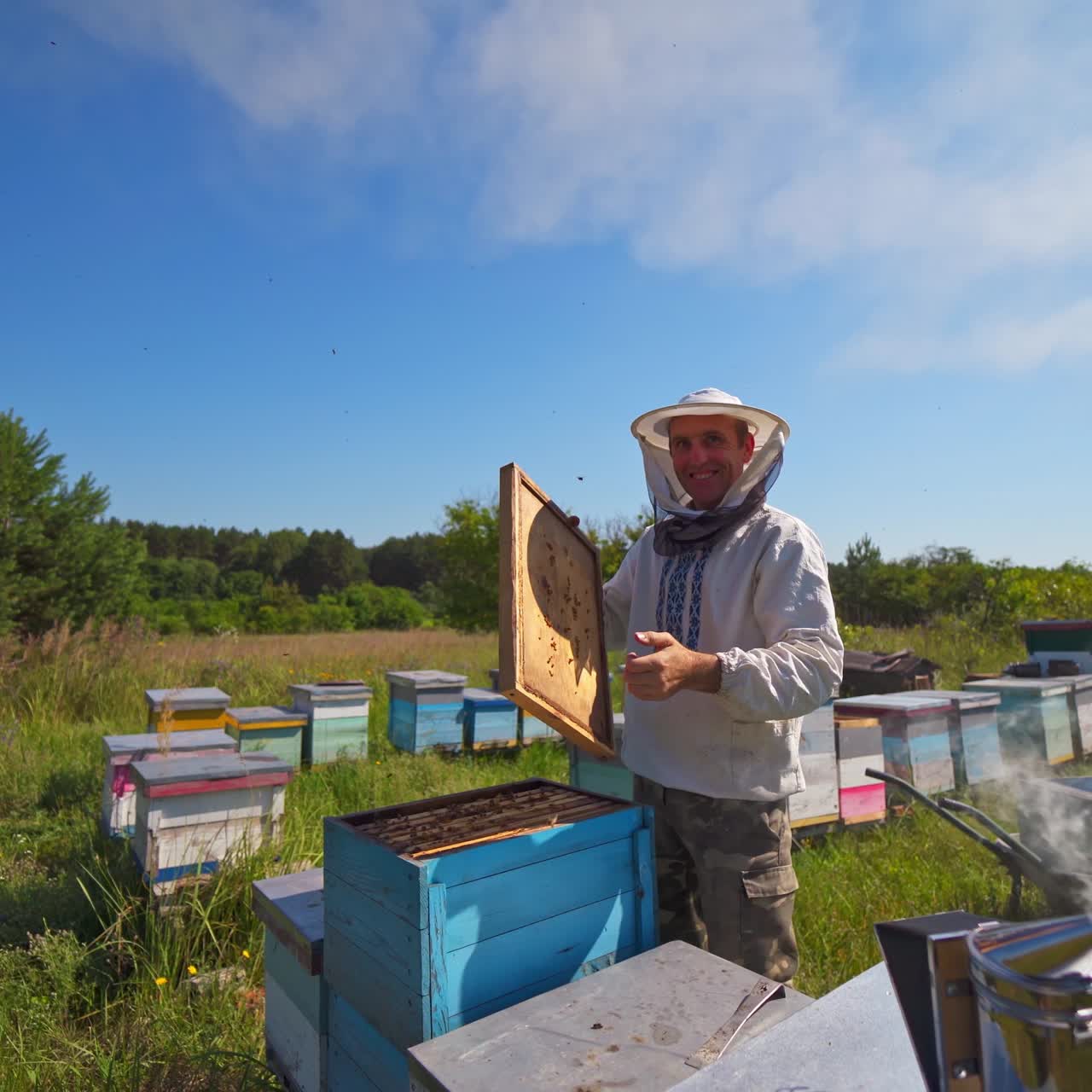 Happy bee master works on apiary. Apiarist is examining frame with bees against blue sky. Honey production. Beekeeping process in summer.