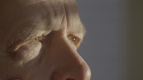 detailed view of elder man face skin and eyes, close up