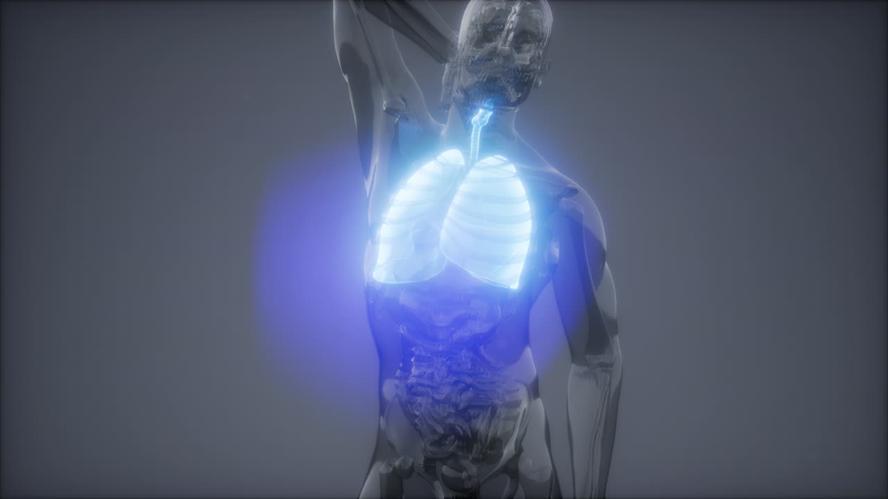 인간의 폐 방사선 검사