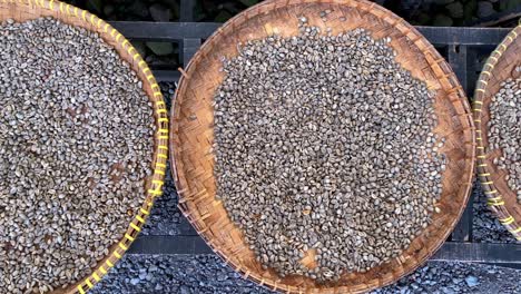 Beans-of-most-expensive---Luwak-coffee,-top-down-close-up-view