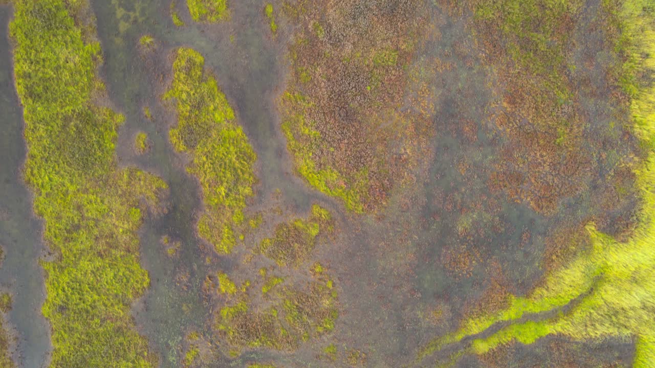 drone con vista de arriba hacia abajo de la reserva natural de la isla de texel wadden, drone volando sobre el verde paisaje natural en países bajos