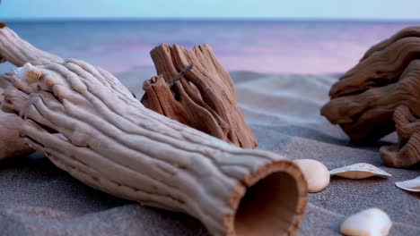 seashells and driftwood on sandy beach at twilight