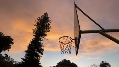 basketball hoop dreams legacy backboard side wide angle orange sunset pine tree perth, western australia