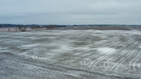 Aerial-view-of-farmland-with-thin-snow-cover-and-low-flying-swan-pair