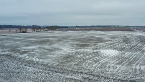 vista aérea de tierras de cultivo con una capa de nieve delgada y una pareja de cisnes volando bajo