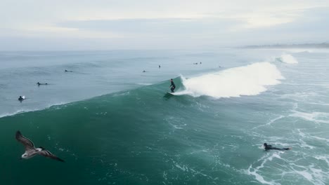 imágenes aéreas de un surfista en una ola en carlsbad