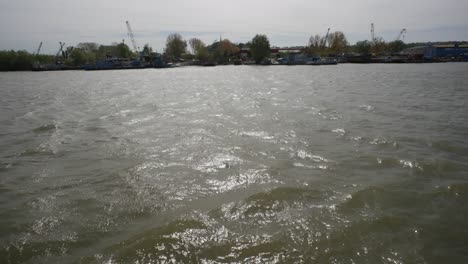 nature reserve delta of the danube river