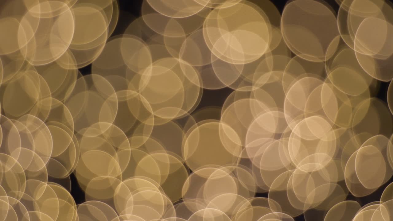 la bombilla marrón. el concepto de enfoque de cambio.