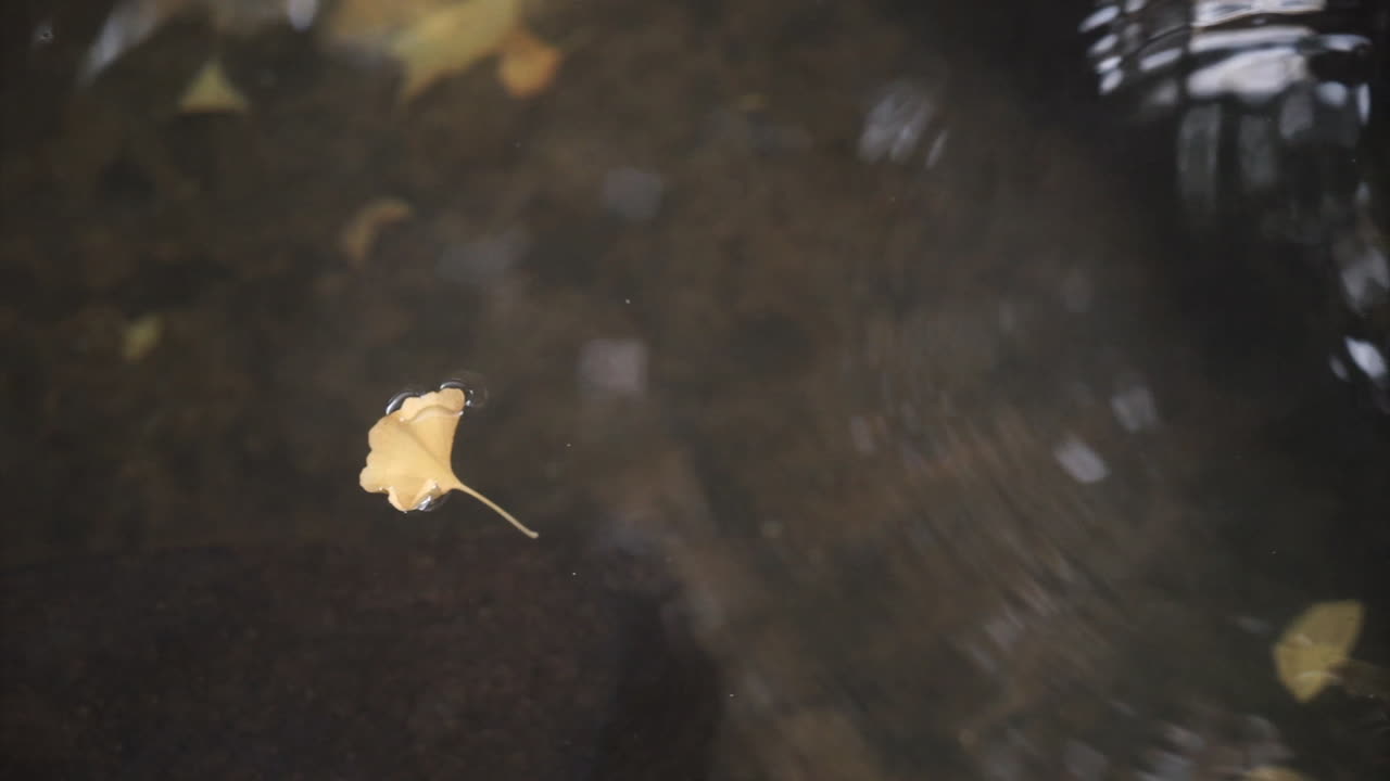 일본 전통 스파. 온천