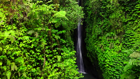 leke leke waterfall hidden in lush vegetation, bali in indonesia