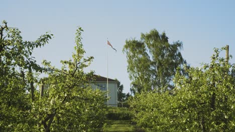 view looking along rowof apple trees at orchard located in lier, norway with large flag pole in background