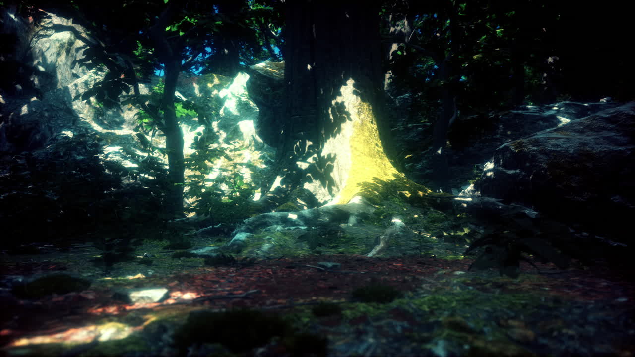 bosque encantado: un viaje místico a través de bosques salpicados de sol