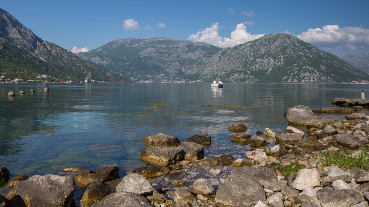 코토르 베이틀 4k 07