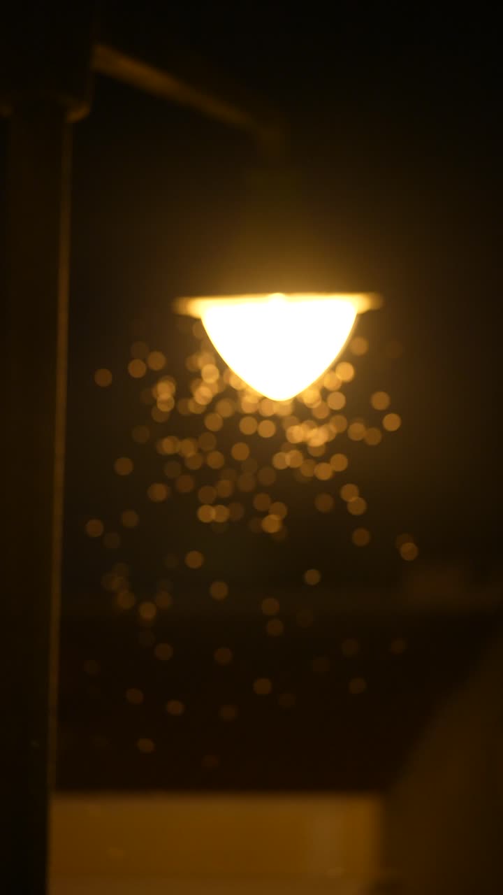 Atmospheric Bokeh around a Street Light at Night
