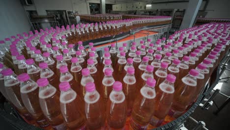 automated beverage bottling plant