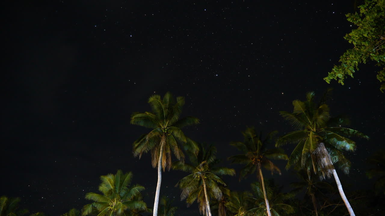 las islas tropicales de fiji las palmeras de la vía láctea las estrellas de la noche el lapso de tiempo de larga exposición oceanía sur del pacífico la isla jardín hawaii tahiti cielo despejado nubes viento susurro de la noche toma estática