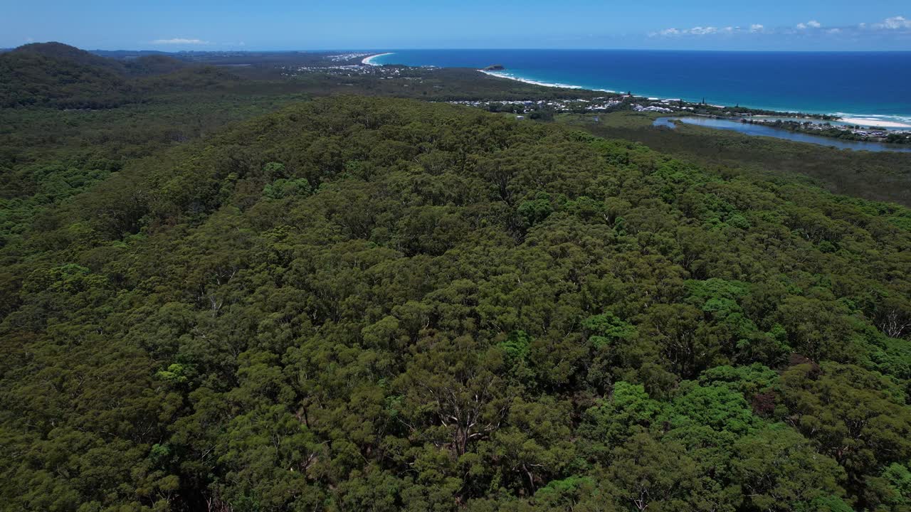 Estuarin mangroveskog ved Cudgera Creek i Hastings Point, New South Wales, Australia. Flyfoto