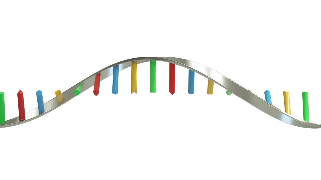 las moléculas de adn