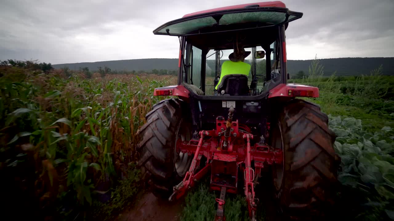 Tractor Harvesting Crops in a Field