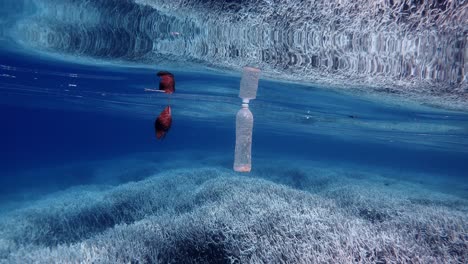plastic bottle of water and dry leaf floating on the crystal clear water on the ocean. - concept of pollution. - wide to close up shot