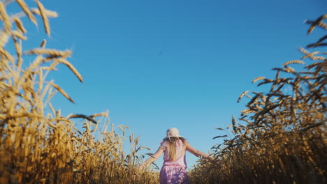 Happy-baby-runs-across-a-wheat-field-against-a-blue-sky-2