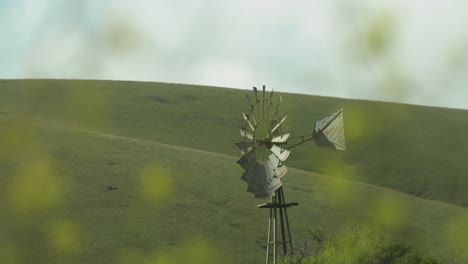 windmill in front of pastoral california hills with foreground flowers 4k