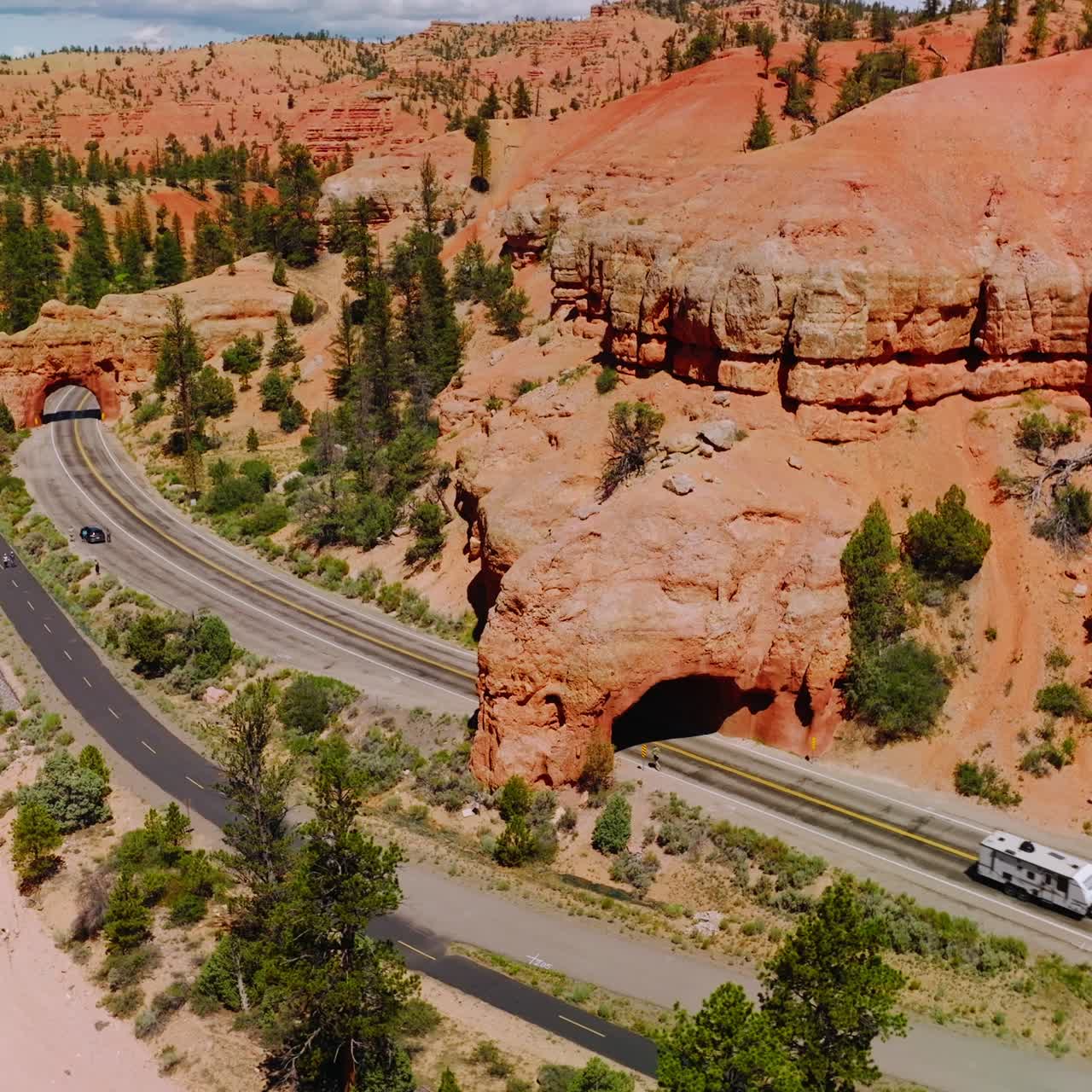 Stunning scenery of bright canyons on sunny day. Amazing rocks of Arches Canyons with green pine trees and roads going through the park