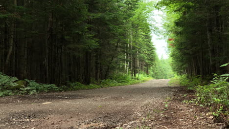 young male adult biking on a gravel road by himself on a summer day